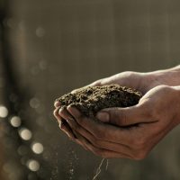 gabriel-jimenez-jin4W1HqgL4-unsplash(1) gabriel-jimenez-jin4W1HqgL4-unsplash(1)